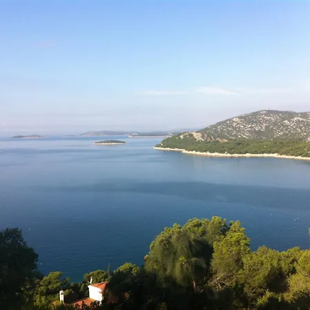 Apartment Apartments Villa Tribunj Tribunj (Sibenik-Knin)