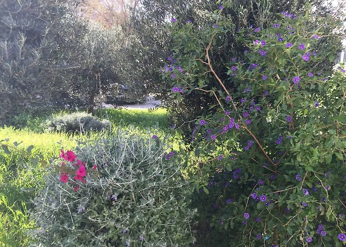 Tribunj Apartament *