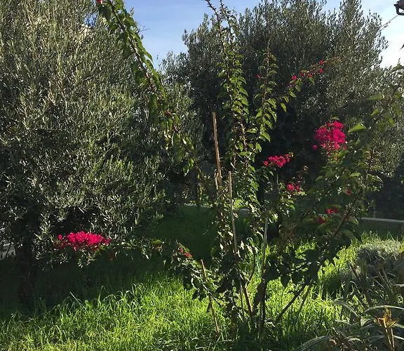 Apartament Tribunj *